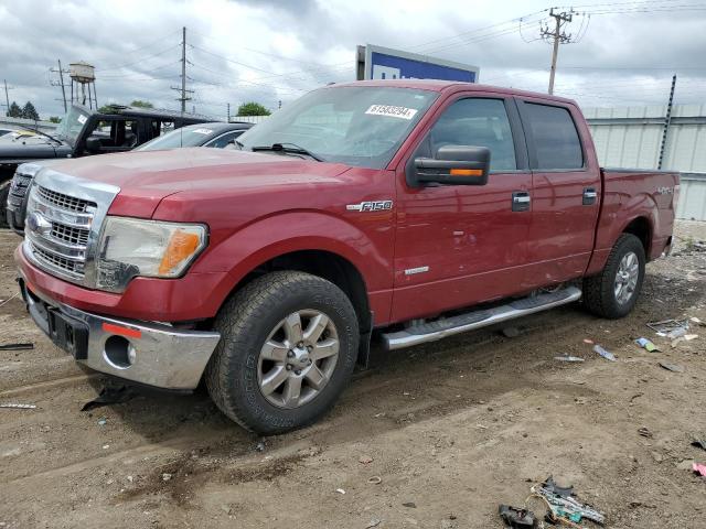  Salvage Ford F-150