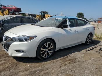  Salvage Nissan Maxima