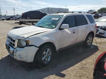  Salvage Ford Escape