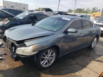  Salvage Nissan Maxima