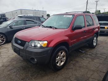  Salvage Ford Escape