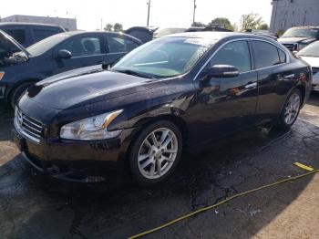  Salvage Nissan Maxima