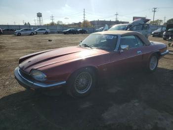  Salvage Jaguar Xjs