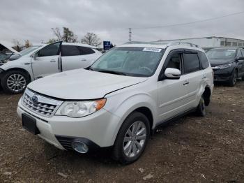  Salvage Subaru Forester