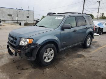  Salvage Ford Escape