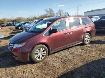  Salvage Honda Odyssey