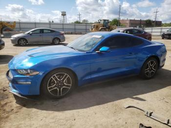  Salvage Ford Mustang