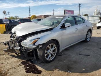  Salvage Nissan Maxima