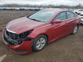  Salvage Hyundai SONATA