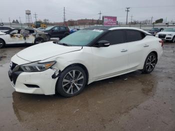  Salvage Nissan Maxima