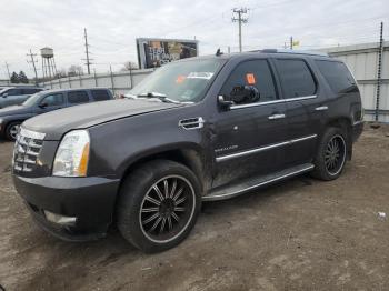  Salvage Cadillac Escalade