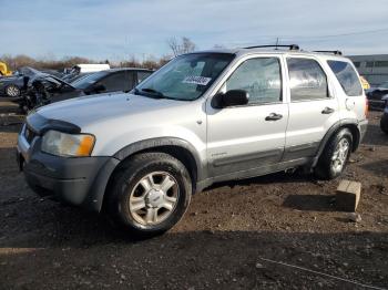  Salvage Ford Escape