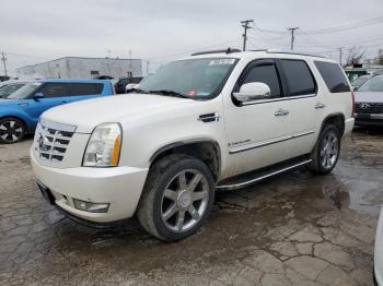  Salvage Cadillac Escalade