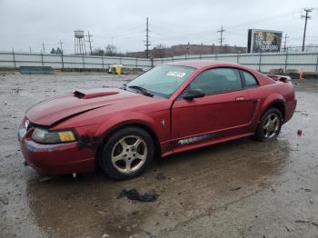  Salvage Ford Mustang