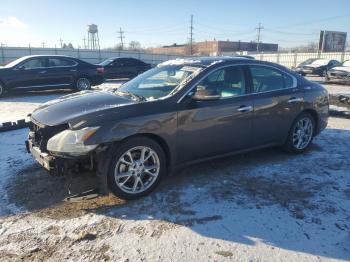  Salvage Nissan Maxima