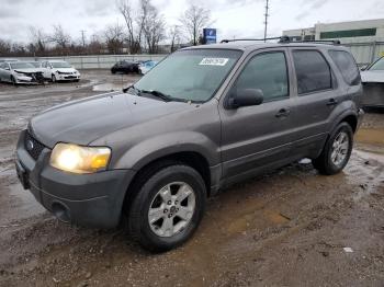  Salvage Ford Escape