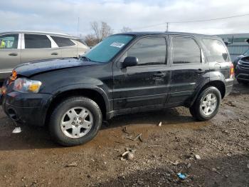  Salvage Ford Escape