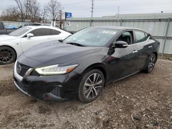  Salvage Nissan Maxima