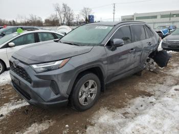  Salvage Toyota RAV4