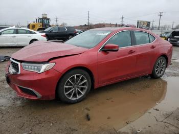  Salvage Acura TLX