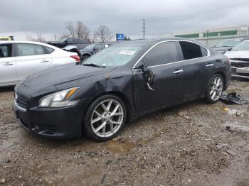  Salvage Nissan Maxima