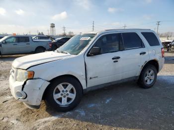  Salvage Ford Escape