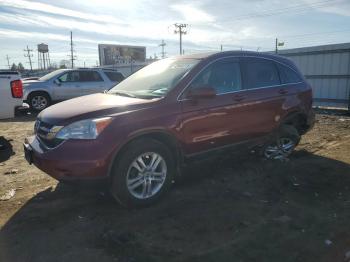  Salvage Honda Crv