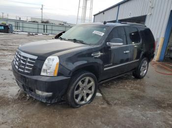  Salvage Cadillac Escalade