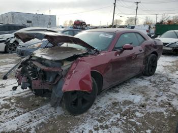  Salvage Dodge Challenger