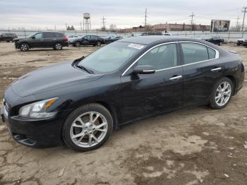  Salvage Nissan Maxima