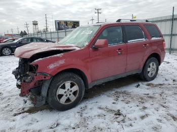  Salvage Ford Escape