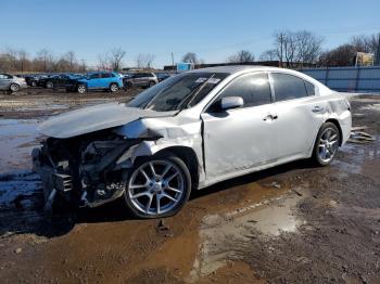  Salvage Nissan Maxima