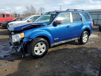  Salvage Ford Escape