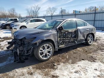  Salvage Nissan Maxima