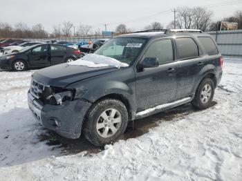  Salvage Ford Escape