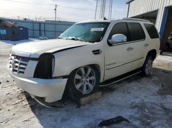  Salvage Cadillac Escalade