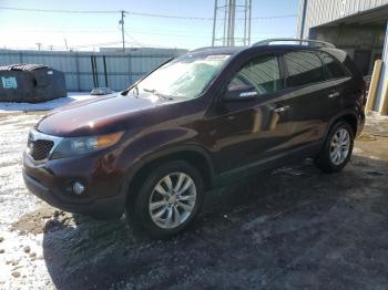  Salvage Kia Sorento