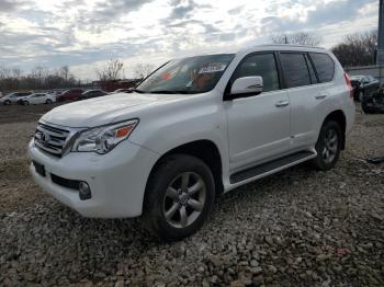  Salvage Lexus Gx