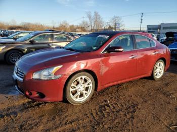  Salvage Nissan Maxima