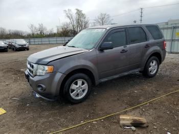  Salvage Ford Escape