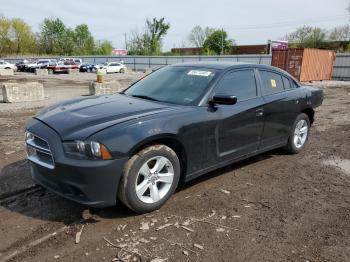  Salvage Dodge Charger