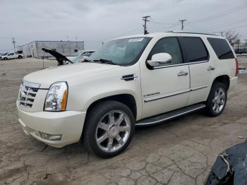  Salvage Cadillac Escalade