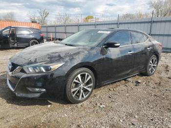  Salvage Nissan Maxima