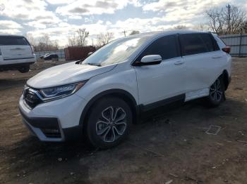  Salvage Honda Crv