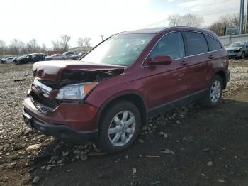  Salvage Honda Crv
