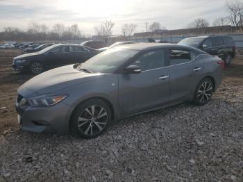  Salvage Nissan Maxima