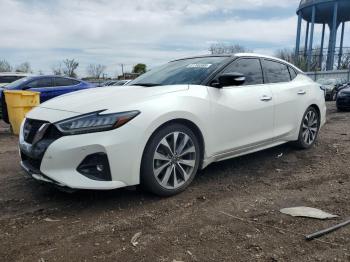  Salvage Nissan Maxima