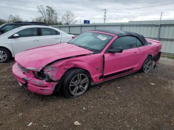  Salvage Ford Mustang