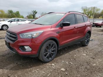  Salvage Ford Escape