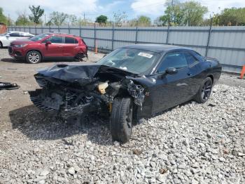  Salvage Dodge Challenger